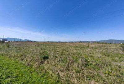 Teren intravilan 8690mp in Orasul Simeria (spre Localitatea Santuhalm) FS 95,41m la Sosea... - 4