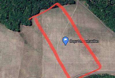 Teren de 30000 mp, în Slobozia (Schitu Duca) - 1