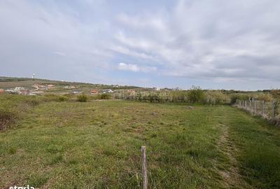 Spațiu comercial, în Paleu - 4