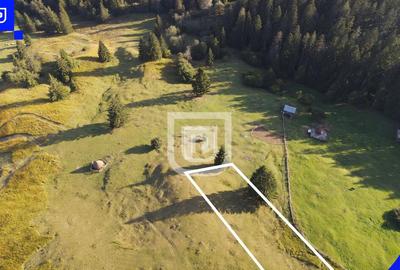 Teren situat in Frasin | BUCOVINA - 4