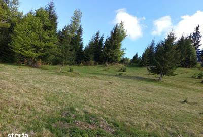 Teren de 3500 mp, în Tiha Bârgăului - 2