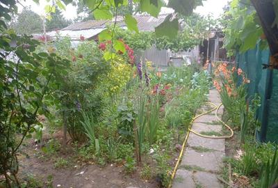 Casa de vanzare, zona premium, DN4, 60km de Bucuresti, langa Dunare - 2