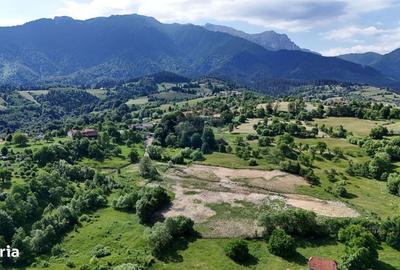 Spațiu comercial, în Bran