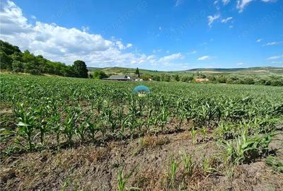 Teren intravilan de vanzare ideal pentru investitie - 5