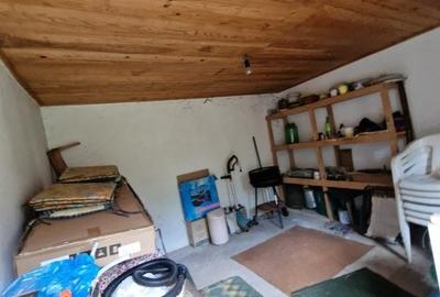 Balilesti - Stradal, casa spatioasa, 4600 mp teren intravilan - curte spatioasa - 13