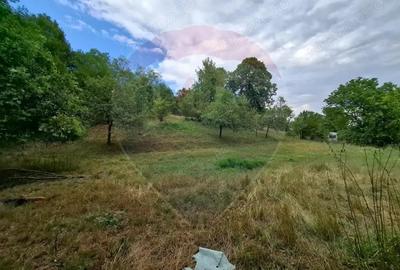 Teren de vanzare 990mp in Barzava, jude?ul Arad - 1