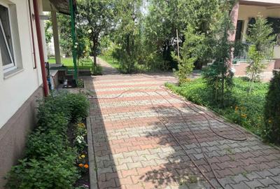 Spațiu comercial, în Brâncoveanu - 3