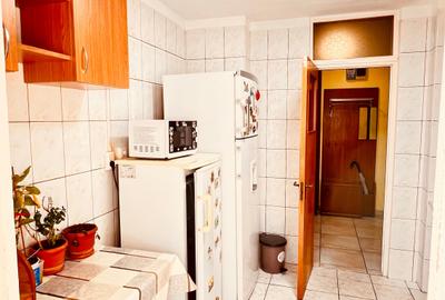 Apartament cu 3 camere decomandat, mobilat în Dristor - 13