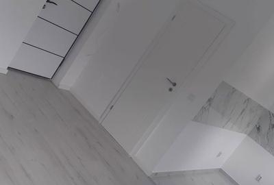 Garsonieră nedecomandată în Vișan - 5
