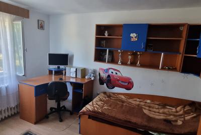 Casa cu etaj si 955mp teren zona Drumul Tatarilor - 6