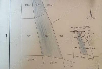 Casă cu 4 camere în Tinca - 3