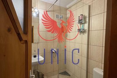 Apartament cu 4 camere decomandat, mobilat în Calea Severinului - 20