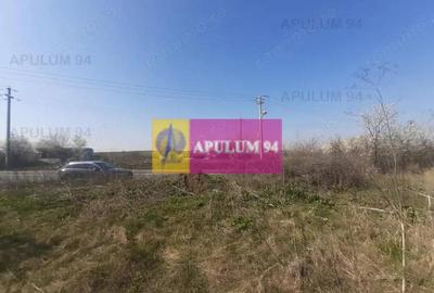 Teren de 4800 mp, în Glina - 18