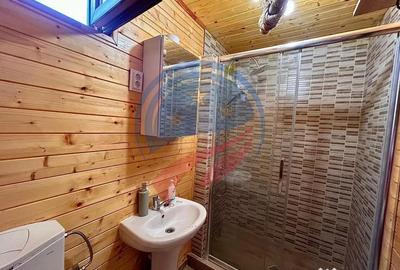 Casă cu 4 camere cu Teren 1640 Mp în Dubova - 3
