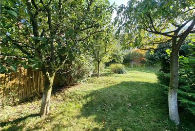 Vila superba de inchiriat ultracentral Brasov - 3