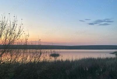 Vand teren pe malul lacului de la Pischia. Un front la lac altul la 30m de padure - 2