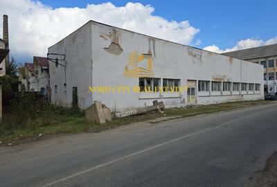 Spațiu industrial, de 21,018 mp, în Exterior Vest - 14
