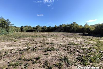 Teren intravilan In Faget, strada Sfanta Maria - 2