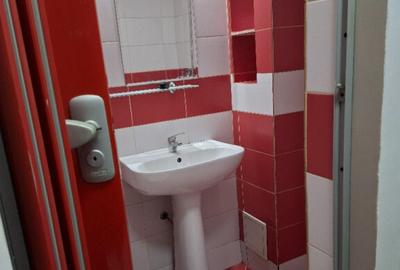 Apartament 2 camere ultracentral ( zona pietonala ) - 9