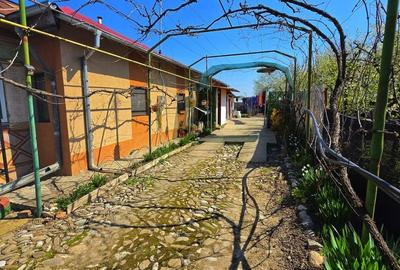 Casă cu 4 camere cu Teren 685 Mp în Mănești - 4