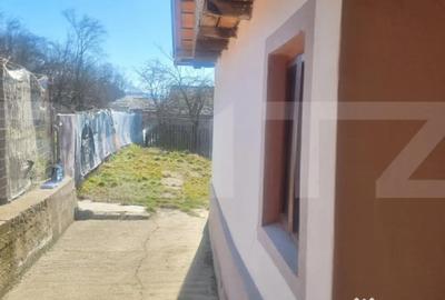 Casă cu 3 camere cu Teren 2000 Mp în Iordăcheanu - 3