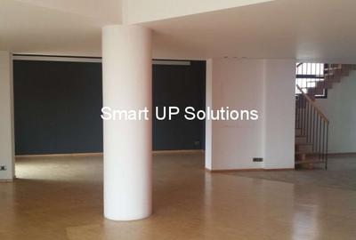 Herastrau Arcul de Triumf - DUPLEX LUX - Rezidenta / Office - Suprafata 360 mp
