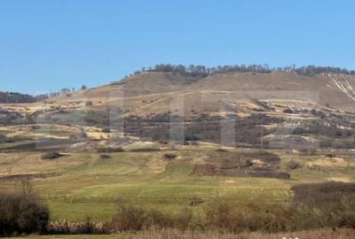 Teren de 13374 mp, în Central - 2