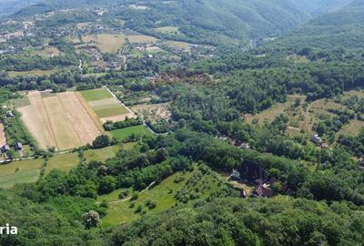 Casă cu 4 camere în Vad - 2