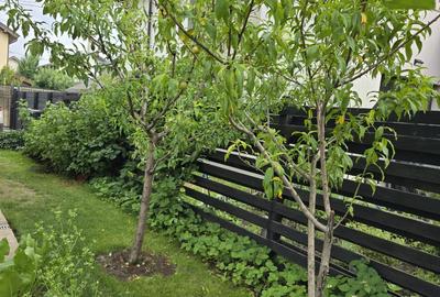 Vila mobilata si utilata- 4 camere - 2 bai - 350mp teren - cartierul nou- beci - 14