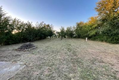 Domnești – teren 750 mp, cu puț, pomi, gard viu, gard bordurat, porti, curat! - 1