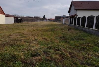 Teren Construcții intravilan de 1000 mp, în Cristian