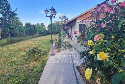 Casa cu teren de 2000 mp, Timisoara - 6