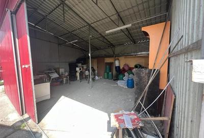 RECO, Teren de inchiriat, Zona Iosia - 2