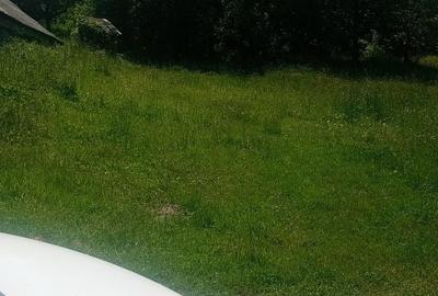 Casă cu 2 camere în Humulești - 4