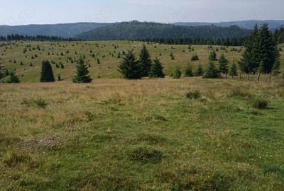 Teren de 8640 mp, în Beliș - 1