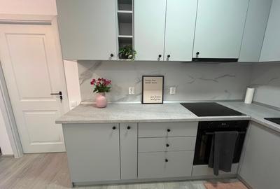 Apartament cu 2 camere semidecomandat, mobilat în Eremia - 12