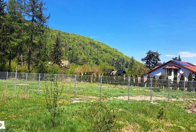 Teren de 800 mp, în Bunloc - 3