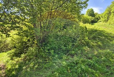 Comision 0%/ Teren intravilan 1,577mp Brasov / Schei/Aer curat - 13