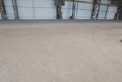 Titan - Bulevardul Basarabia, hala 1000 mp - 3