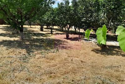 Movilita - vanzare casa 5 cam plus livada pe rod si teren 1800 mp - 6