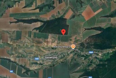 Teren extravilan Loc. Bucovat sat Sarbatoarea, jud. Dolj - 1