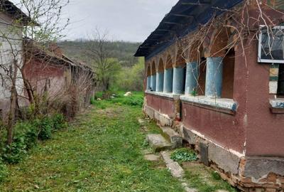 Casă în Coțofenii din Dos - 4