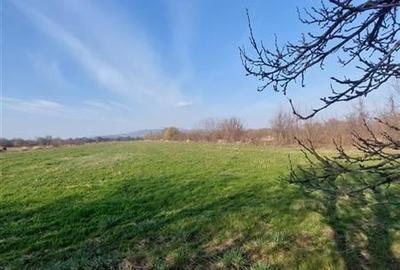 Teren Construcții intravilan de 330000 mp, în Central - 3