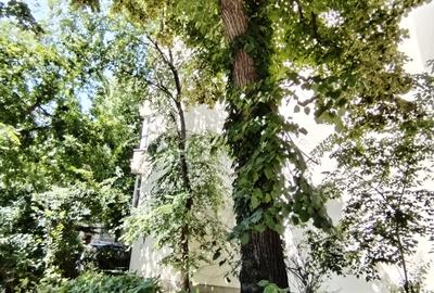 Floreasca, Ceaikovski, reabilitat, toate actele, etaj 3, liber, comision zero, Floreasca, Ceaikovski, reabilitat, toate actele, etaj 3, liber, comision zero, - 12