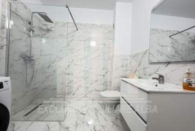 Apartament cu 2 camere, mobilat în Ampoi 3 - 3