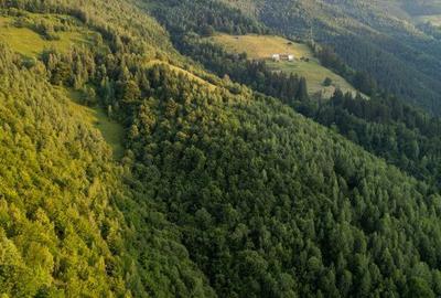 Spațiu comercial, în Muntele Rece - 3