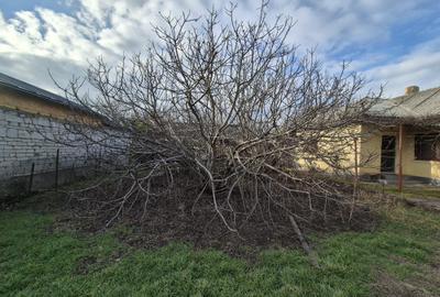 Casă individuală cu 3 camere cu Teren 750 Mp în Km 5 - 4