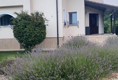 Vanzare casa Paradisul Verde Corbeanca - 16