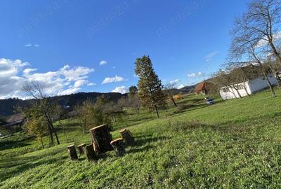 Vand casa si teren 10000mp Vand casa si teren 10000mp - 6