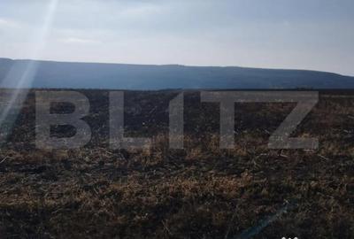 Teren de 28000 mp, în Central